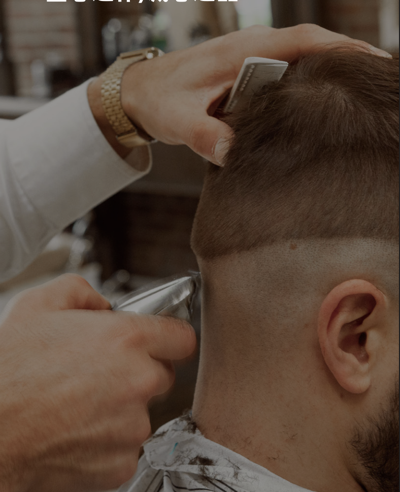 Professional Hair Blades