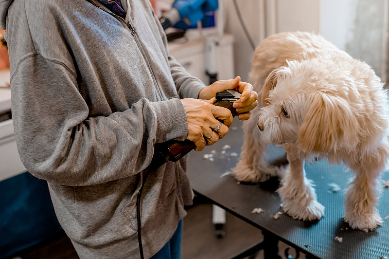 Pet & Animal Blades